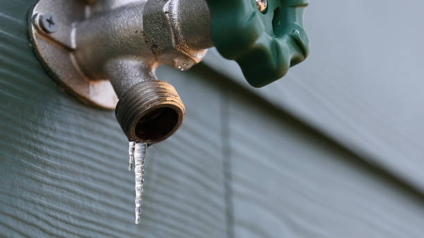 Best Clogged Drain Plumber  in Vardaman, MS